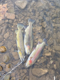 Fishing Mission Photos